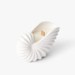 Seashells Collection - Nautilus Shells, Large, Natural White