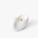 Seashells Collection - Nautilus Shells, Small, Natural White